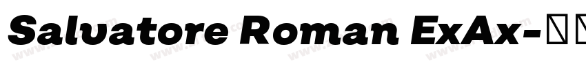Salvatore Roman ExAx字体转换